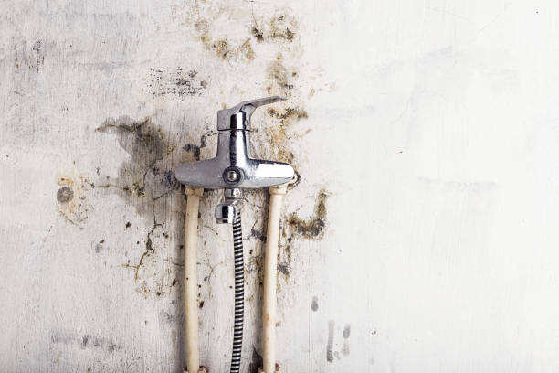 Mold Testing and Removal in Sawmills, NC