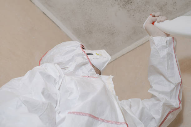 Best Mold Inspection  in Sawmills, NC